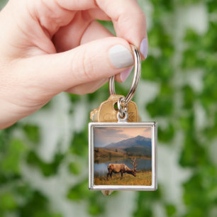 Mountains   Jacques Mountain Range Alberta Canada Keychain