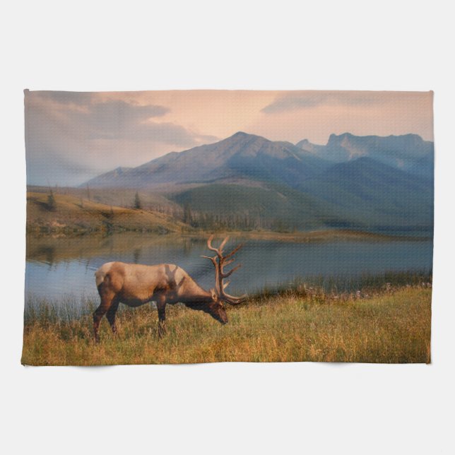Mountains | Jacques Mountain Range Alberta Canada Kitchen Towel (Horizontal)