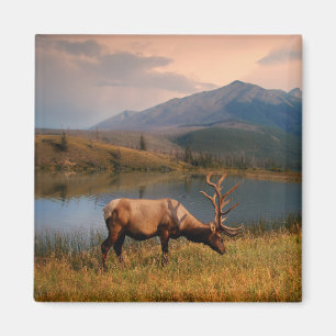Mountains   Jacques Mountain Range Alberta Canada Magnet