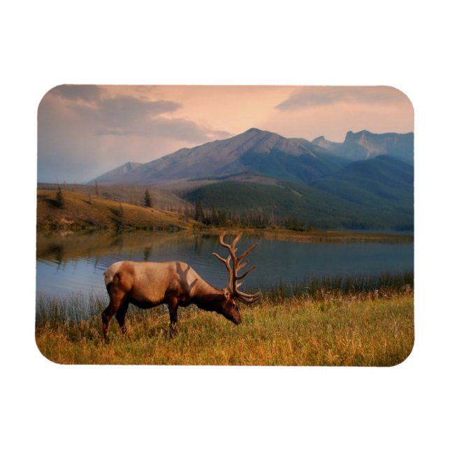 Mountains | Jacques Mountain Range Alberta Canada Magnet (Horizontal)