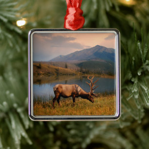 Mountains   Jacques Mountain Range Alberta Canada Metal Ornament