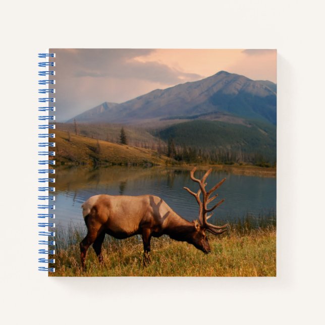 Mountains | Jacques Mountain Range Alberta Canada Notebook (Front)