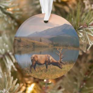 Mountains   Jacques Mountain Range Alberta Canada Ornament