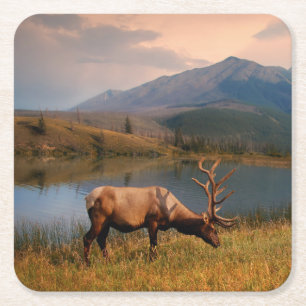 Mountains Jacques Mountain Range Alberta Canada Square Paper Coaster