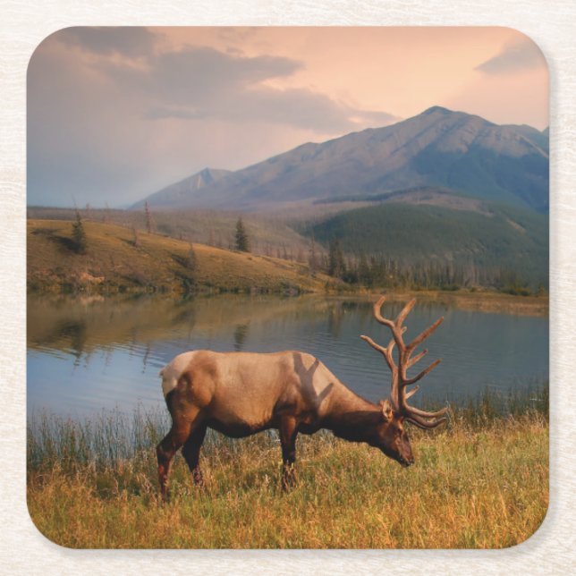 Mountains | Jacques Mountain Range Alberta Canada Square Paper Coaster (Front)