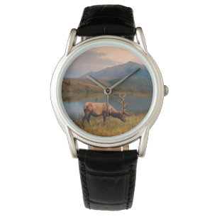 Mountains   Jacques Mountain Range Alberta Canada Watch