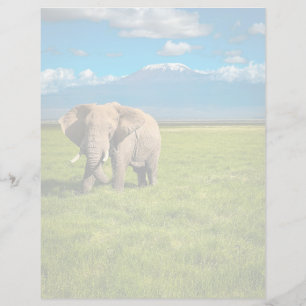 Mountains   Mount Kilimanjaro Tanzania, Africa