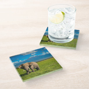 Mountains Mount Kilimanjaro Tanzania, Africa Glass Coaster