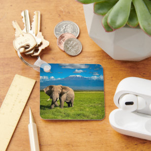 Mountains   Mount Kilimanjaro Tanzania, Africa Keychain