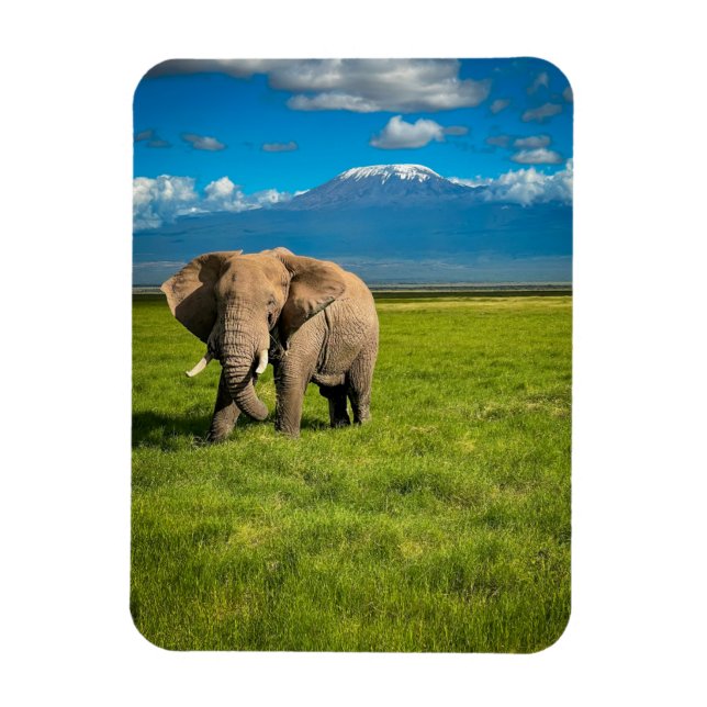 Mountains | Mount Kilimanjaro Tanzania, Africa Magnet (Vertical)