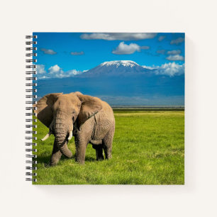 Mountains   Mount Kilimanjaro Tanzania, Africa Notebook