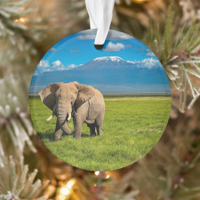 Mountains | Mount Kilimanjaro Tanzania, Africa Ornament (Tree)