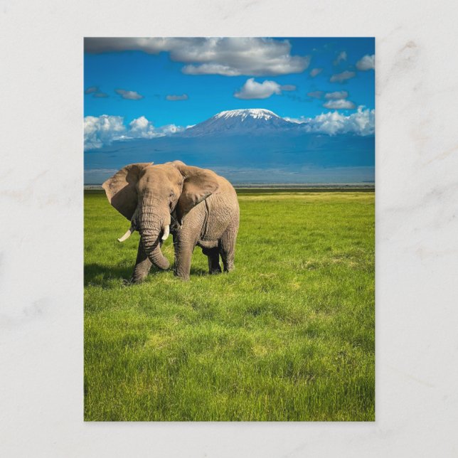 Mountains | Mount Kilimanjaro Tanzania, Africa Postcard (Front)