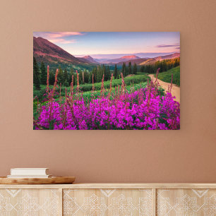Mountains Rocky Mountains, Colorado Canvas Print