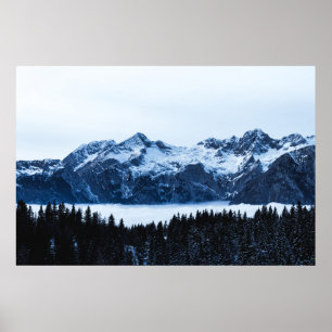 Mountains, spruce forest and clouds poster
