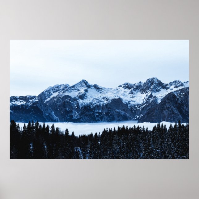 Mountains, spruce forest and clouds poster (Front)