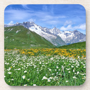 Mountains Swiss Alps Valley Spring Coaster