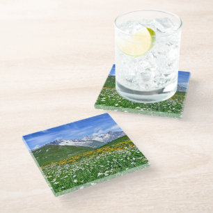 Mountains Swiss Alps Valley Spring Glass Coaster