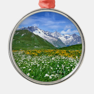 Mountains   Swiss Alps Valley Spring Metal Ornament