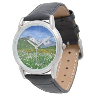 Mountains Swiss Alps Valley Spring Watch
