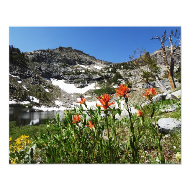 Mountains, Wildflowers, Lake Photo Print 20" x 16" (Front)