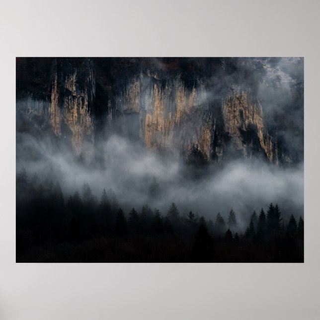 Mountains with fog through spruce forest poster (Front)