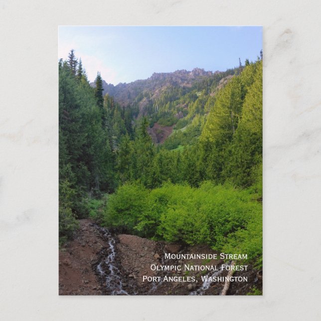 Mountainside Stream Postcard (Front)