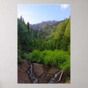 Mountainside Stream Print