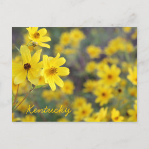 Mountainside Wildflowers by JerseyFawn Postcard