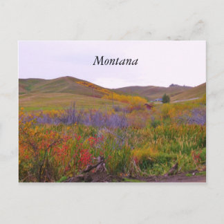 Mountian Colours, Montana Postcard