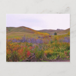 Mountian Colours Postcard