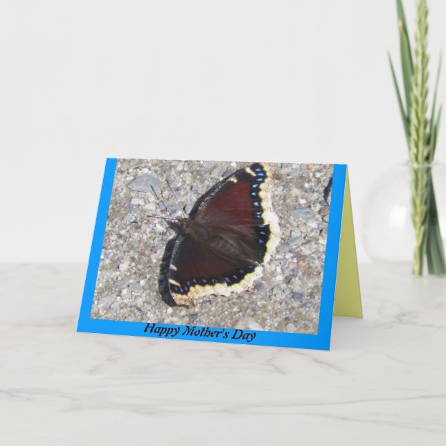 Mourning Cloak Butterfly Mother's Day Card (Front)