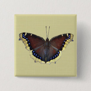 Mourning Cloak Butterfly - Nymphalis antiopa 2 Inch Square Button