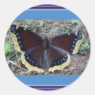 Mourning Cloak Butterfly Stickers