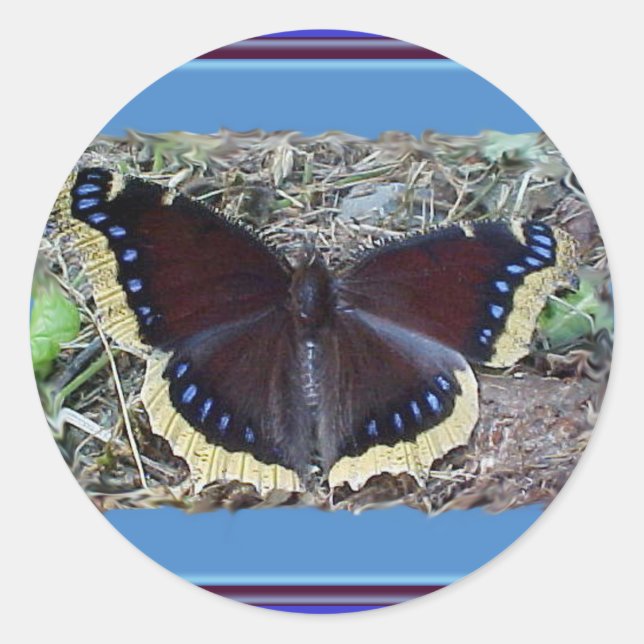 Mourning Cloak Butterfly Stickers (Front)