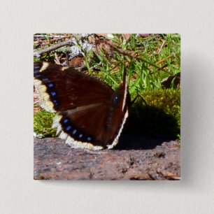 Mourning Cloak Butterfly Upclose 2 Inch Square Button
