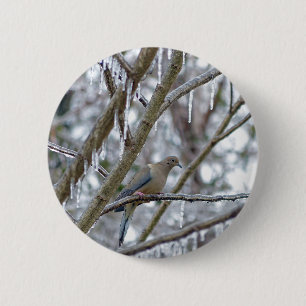 Mourning Dove 2 Inch Round Button