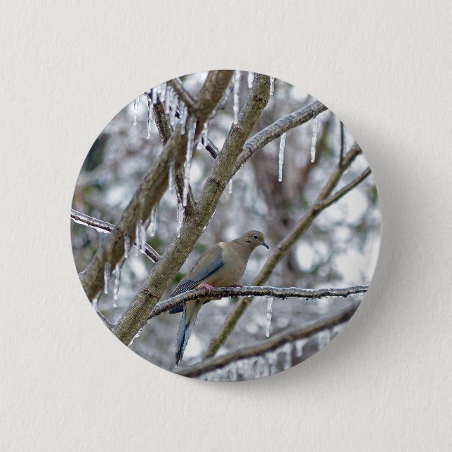 Mourning Dove 2 Inch Round Button (Front)