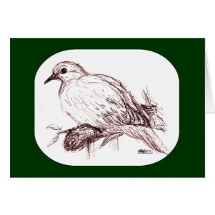 Mourning Dove Baby