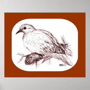 Mourning Dove Baby Poster
