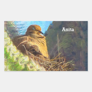 Mourning Dove Female With Baby Saguaro Cactus Nest Sticker