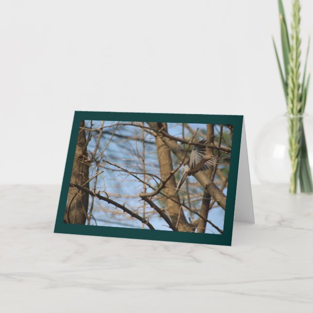Mourning Dove in flight greeting card (Front)