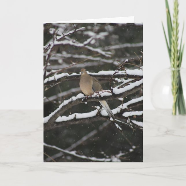 Mourning Dove in the snow Greeting Card (Front)