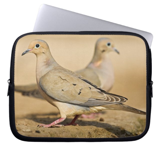 Mourning Dove Laptop Sleeve (Front)