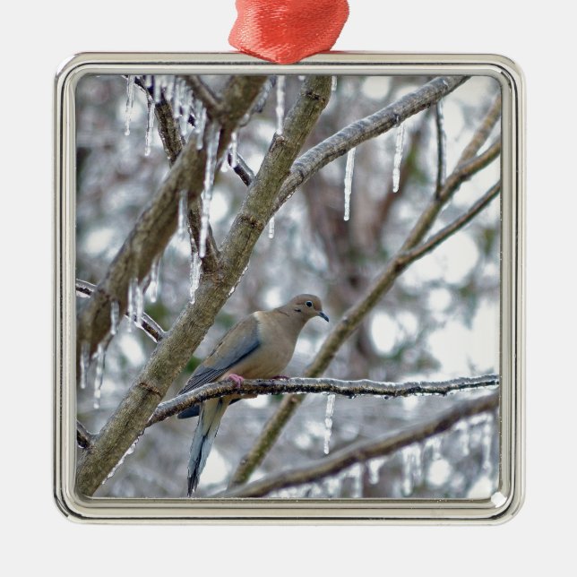 Mourning Dove Metal Ornament (Front)