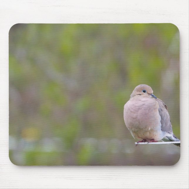 Mourning Dove Mouse Pad (Front)