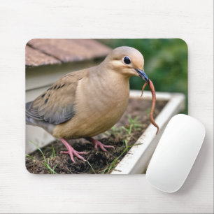 Mourning Dove On a Gutter With a Worm Mouse Pad