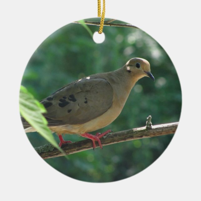 Mourning Dove ~ ornament (Front)