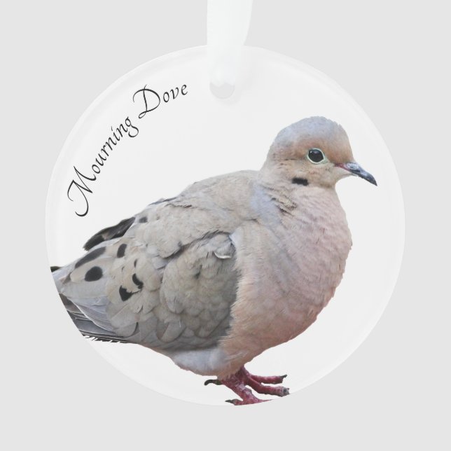 Mourning Dove Ornament (Front)