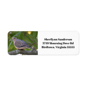 Mourning Dove Photo Return Address